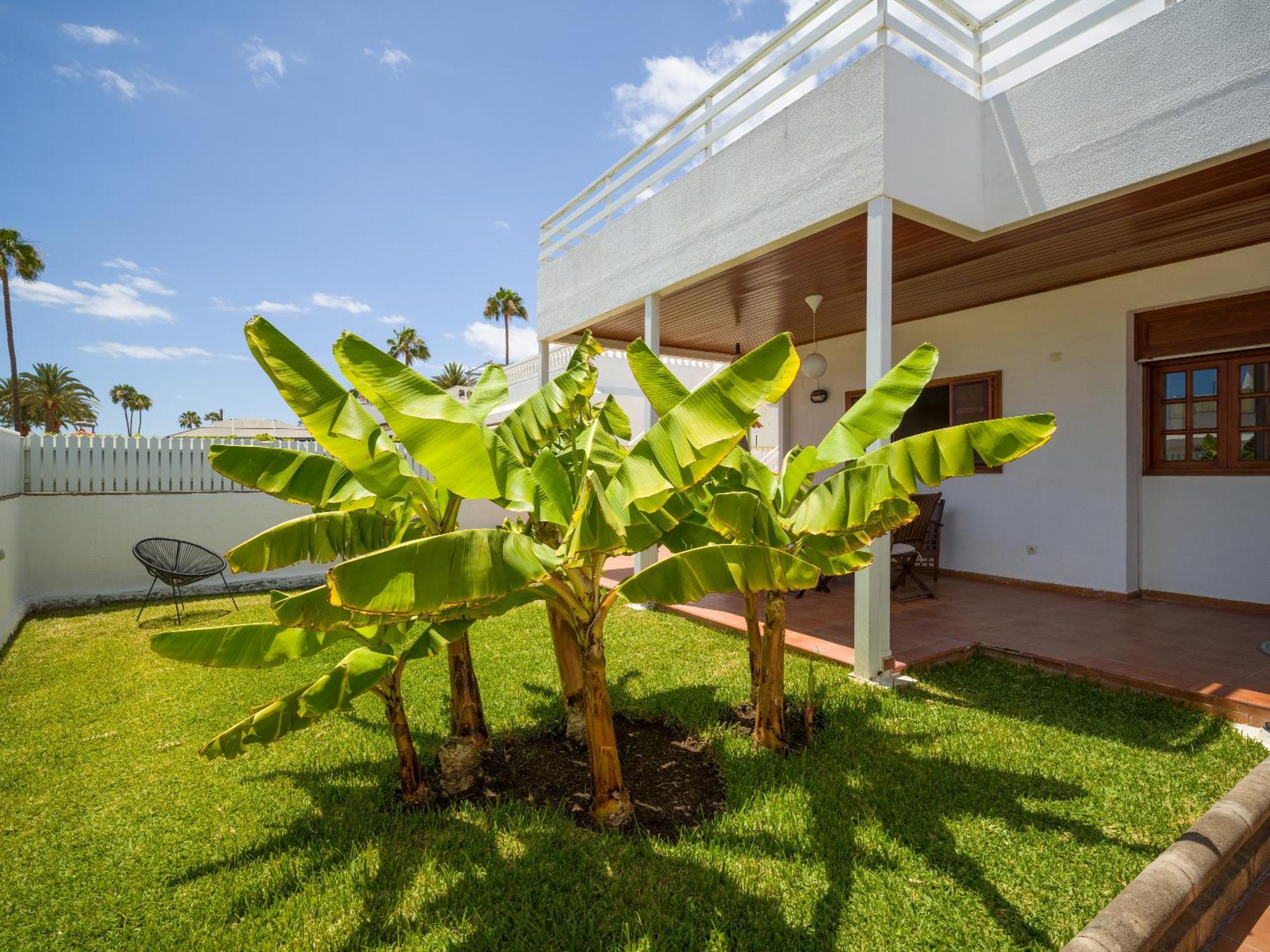 Banana House In Top Location By Tenpropertiesgc Maspalomas  Exteriér fotografie